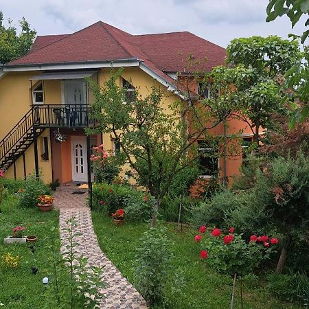 Casa Liana Otel Oradea Dış mekan fotoğraf